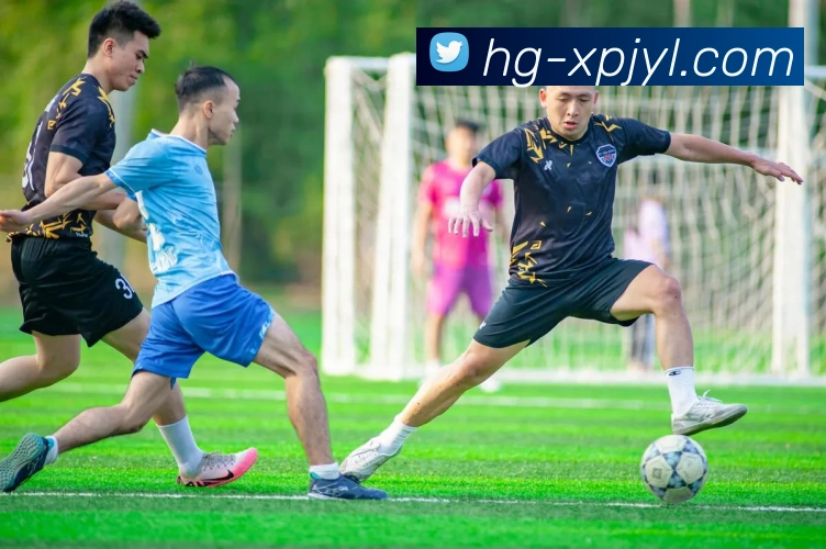 澳门新葡京娱乐APP 封面图